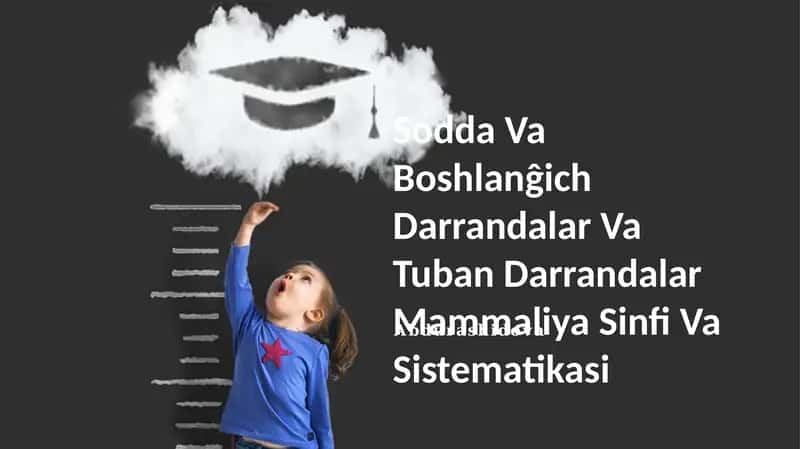 Sodda Va Boshlanĝich Darrandalar Va Tuban Darrandalar Mammaliya Sinfi Va Sistematikasi 1