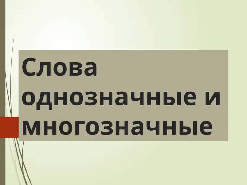 Однозначные и многозначные слова 1