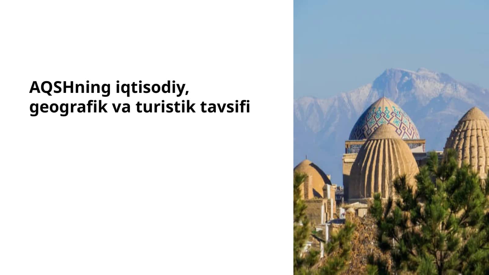 AQSHning iqtisodiy, geografik va turistik tavsifi 1