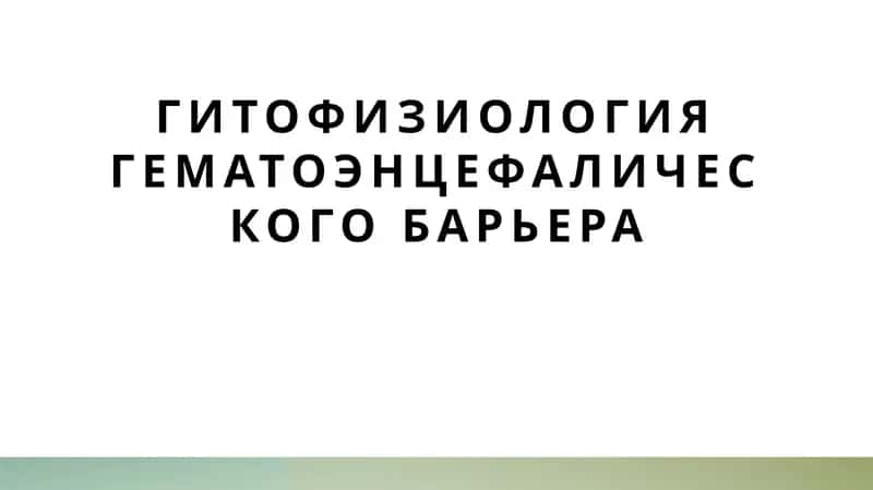 гитофизиология гематоэнцефалического барьера 1