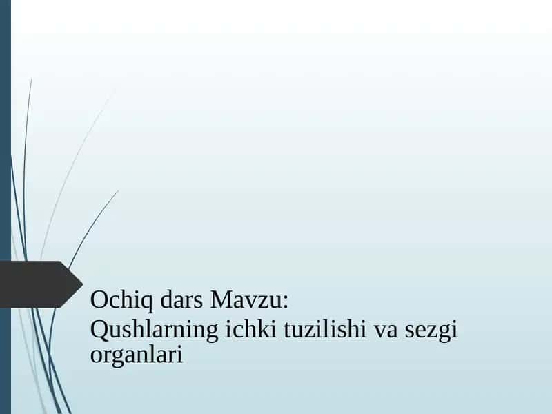 Qushlarning ichki tuzilishi va sezgi organlari 1