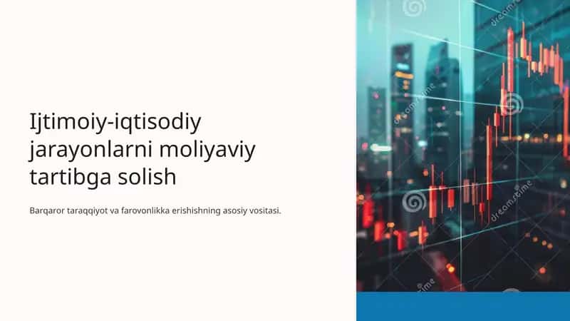 Ijtimoiy-iqtisodiy jarayonlarni moliyaviy tartibga solish 1