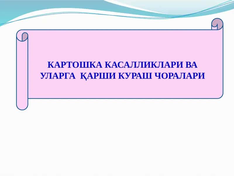 КАРТОШКА КАСАЛЛИКЛАРИ ВА УЛАРГА  ҚАРШИ КУРАШ ЧОРАЛАРИ 1