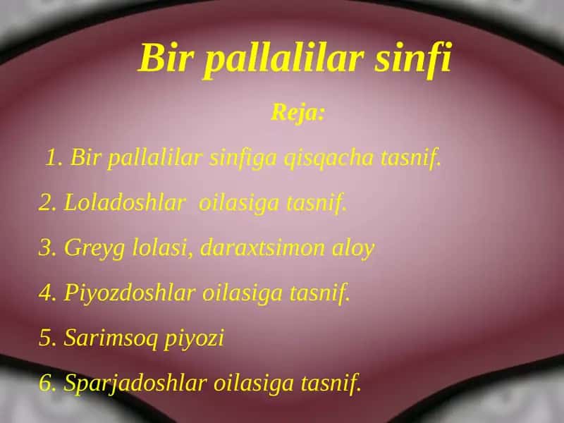 Birpallalilarsinfi 1