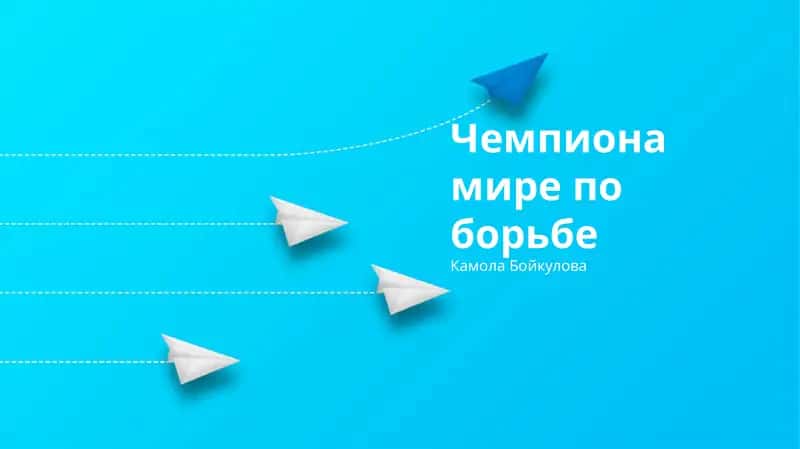 История и стили борьбы 1