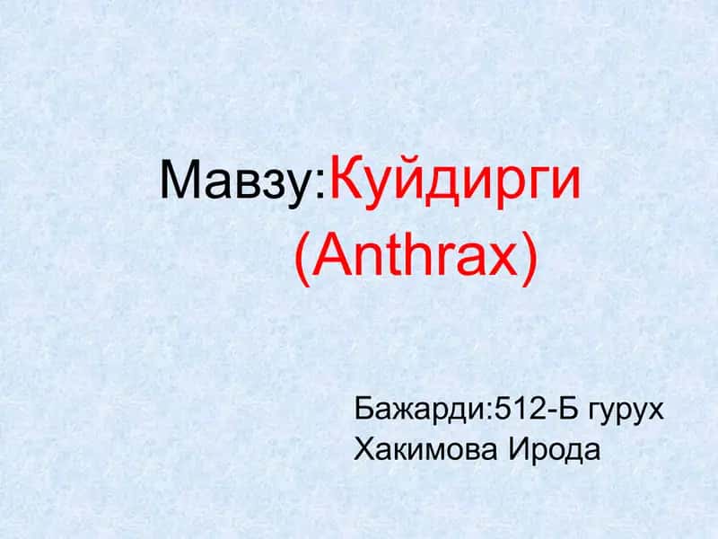 Куйдирги (Anthrax) 1