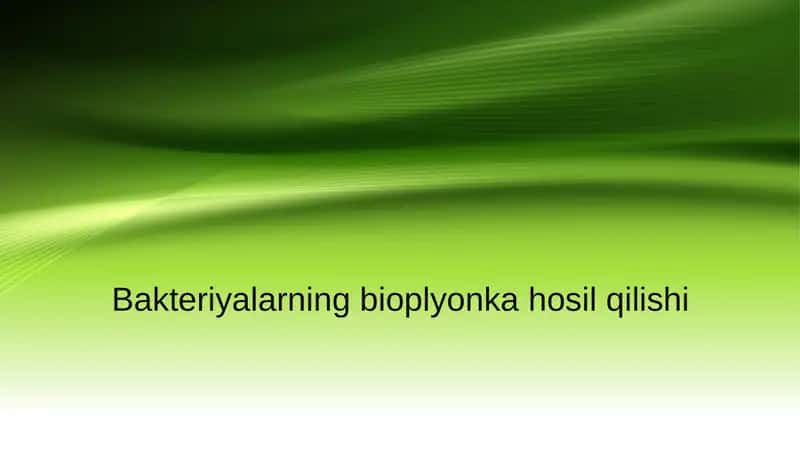 Bakteriyalarning bioplyonka hosil qilishi 1