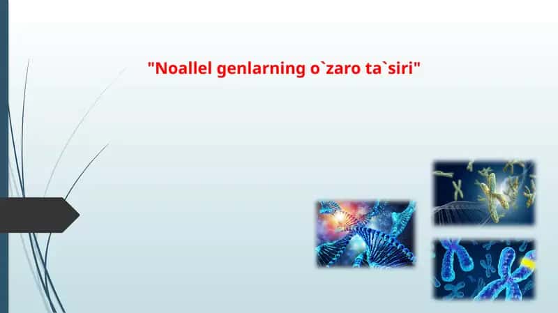 "Noallel genlarning o`zaro ta`siri" 1