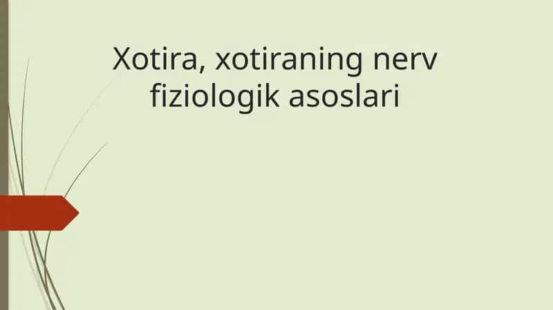 Xotira 1