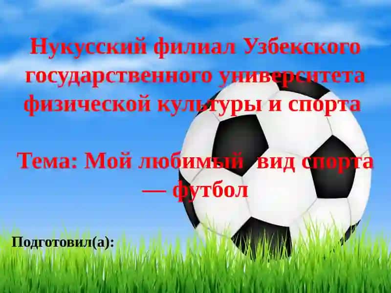 Мой любимый вид спорта Футбол