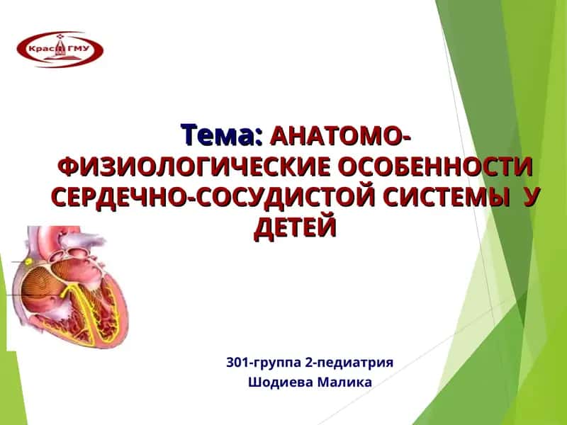 АНАТОМО-ФИЗИОЛОГИЧЕСКИЕ ОСОБЕННОСТИ СЕРДЕЧНО-СОСУДИСТОЙ СИСТЕМЫ У ДЕТЕЙ 1