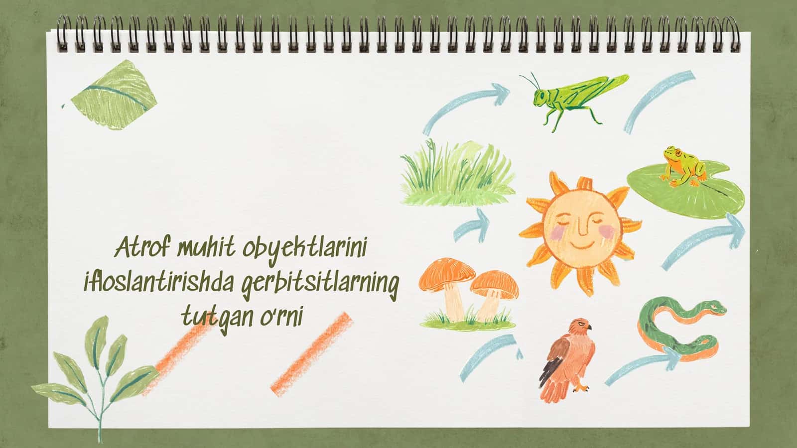 Atrof muhit obyektlarini ifloslantirishda gerbitsitlarning tutgan oʻrni 1