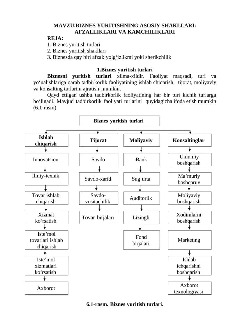 Biznes Yuritishning Asosiy Shakllari: Afzalliklari va Kamchiliklari 1