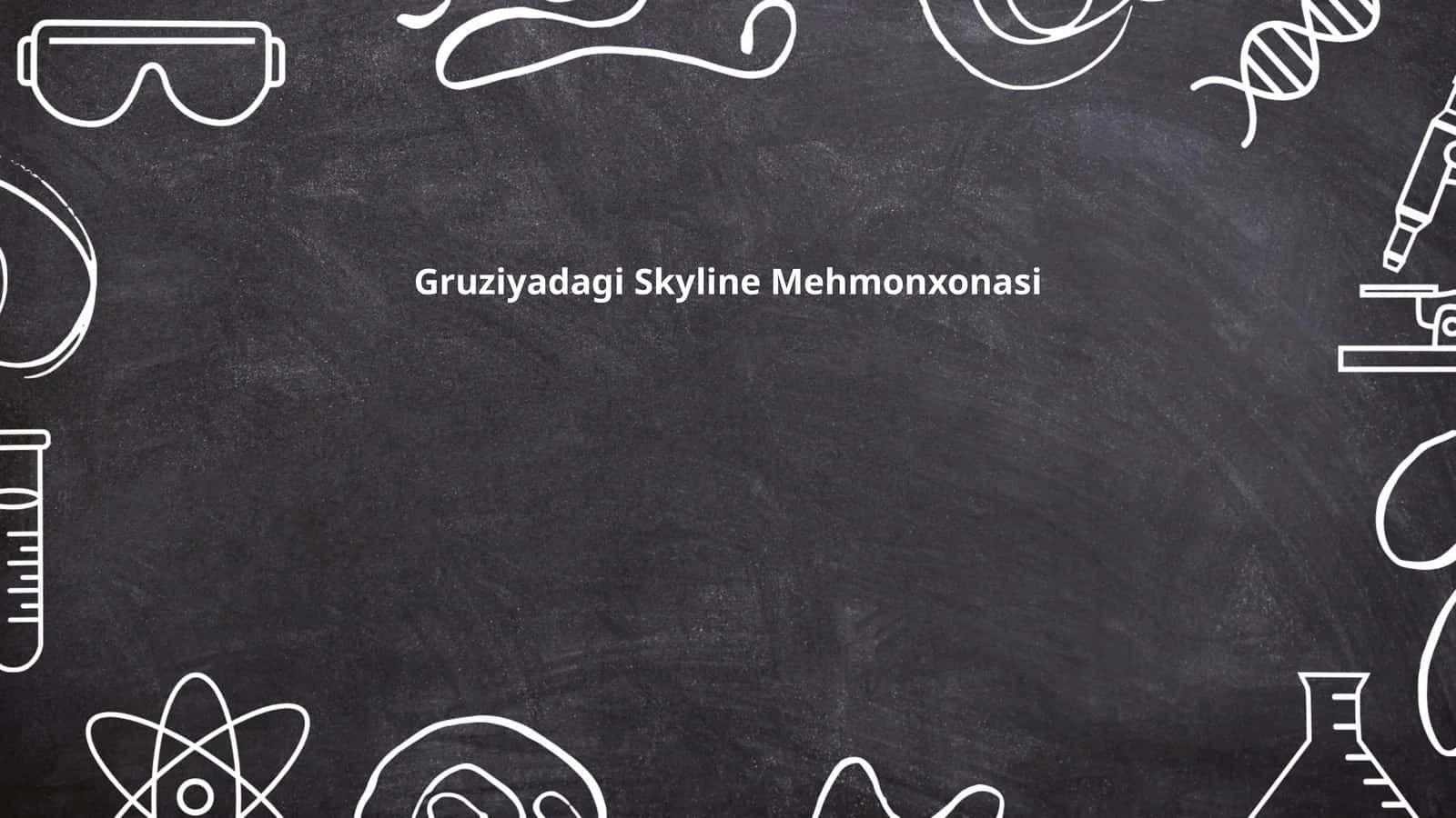 Gruziyadagi Skyline Mehmonxonasi 1