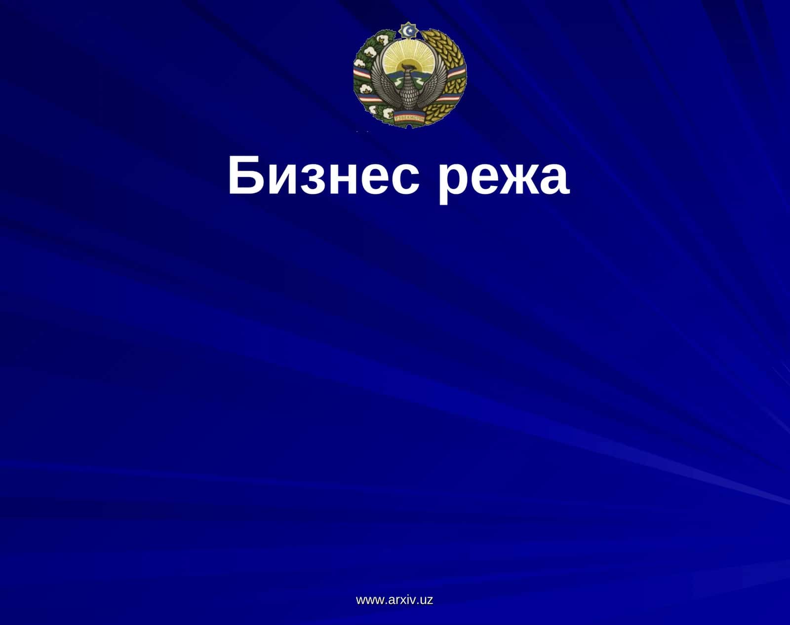Бизнес-режа 1