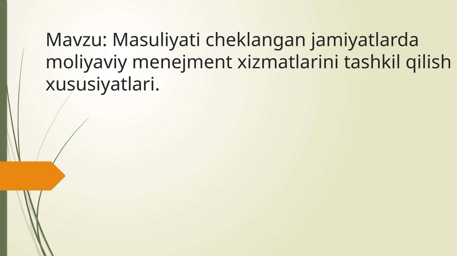 Masuliyat cheklangan jamiyatlarda moliyaviy menegment xizmatlari 1