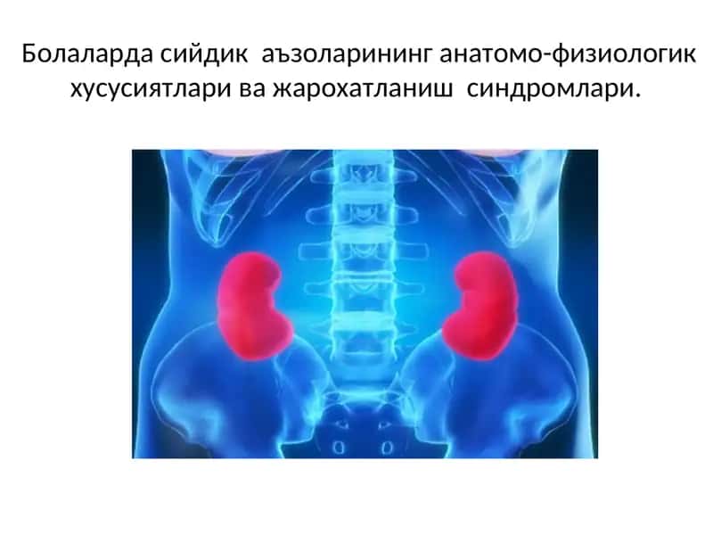 Болаларда сийдик аъзоларининг анатомо-физиологик хусусиятлари ва жарохатланиш синдромлари 1