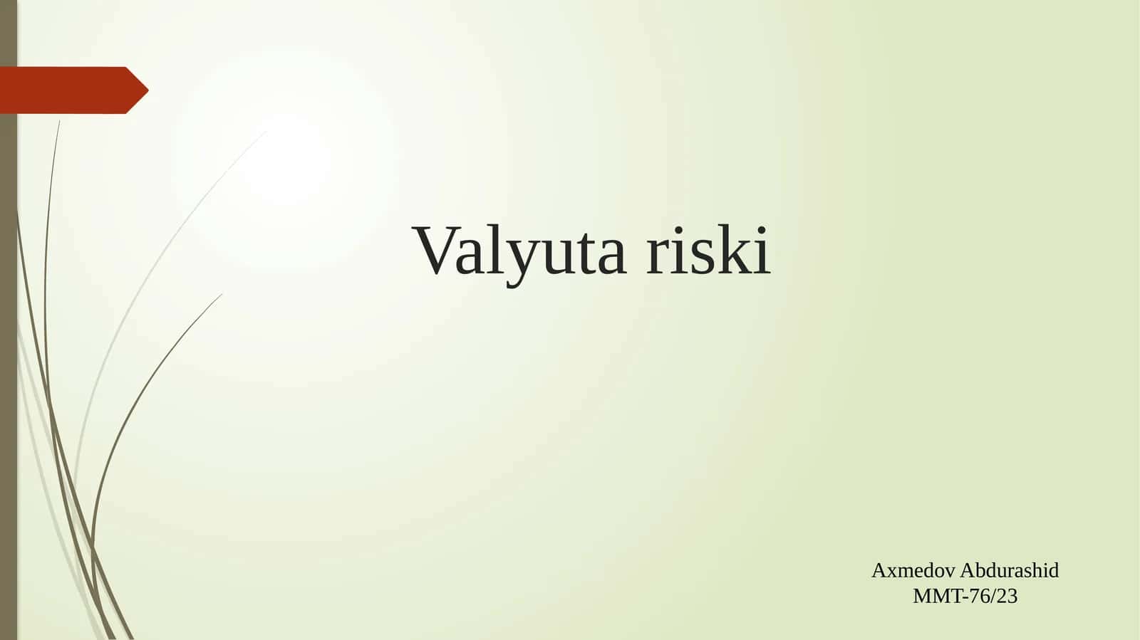 Valyuta riski 1