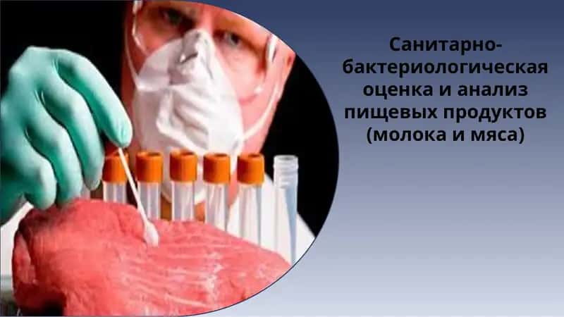 Санитарно-бактериологическая оценка и анализ пищевых продуктов (молока и мяса) 1