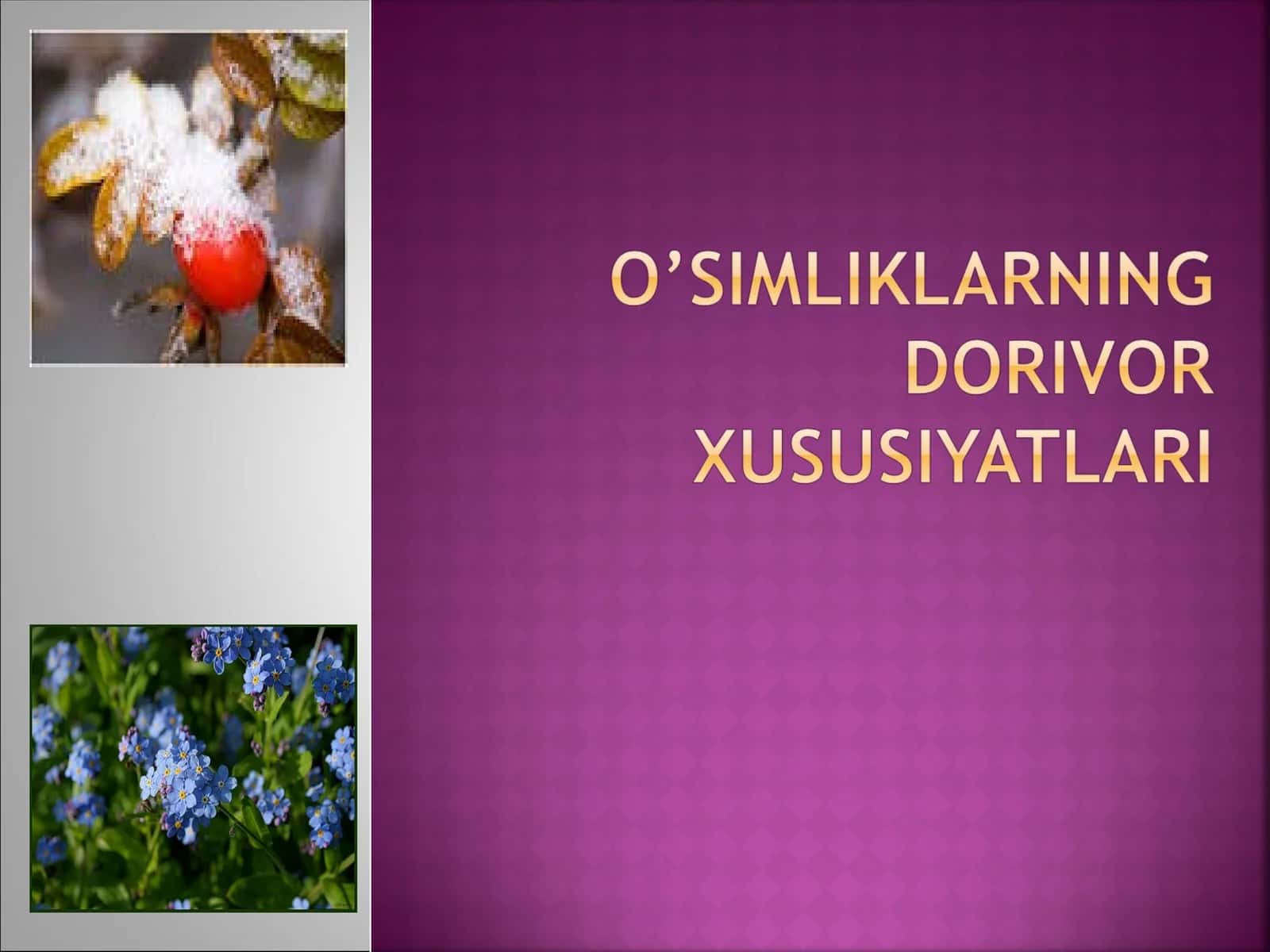 Tib qonunlari 1