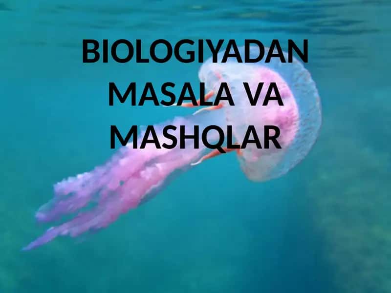 BIOLOGIYADAN MASALA VA MASHQLAR 1