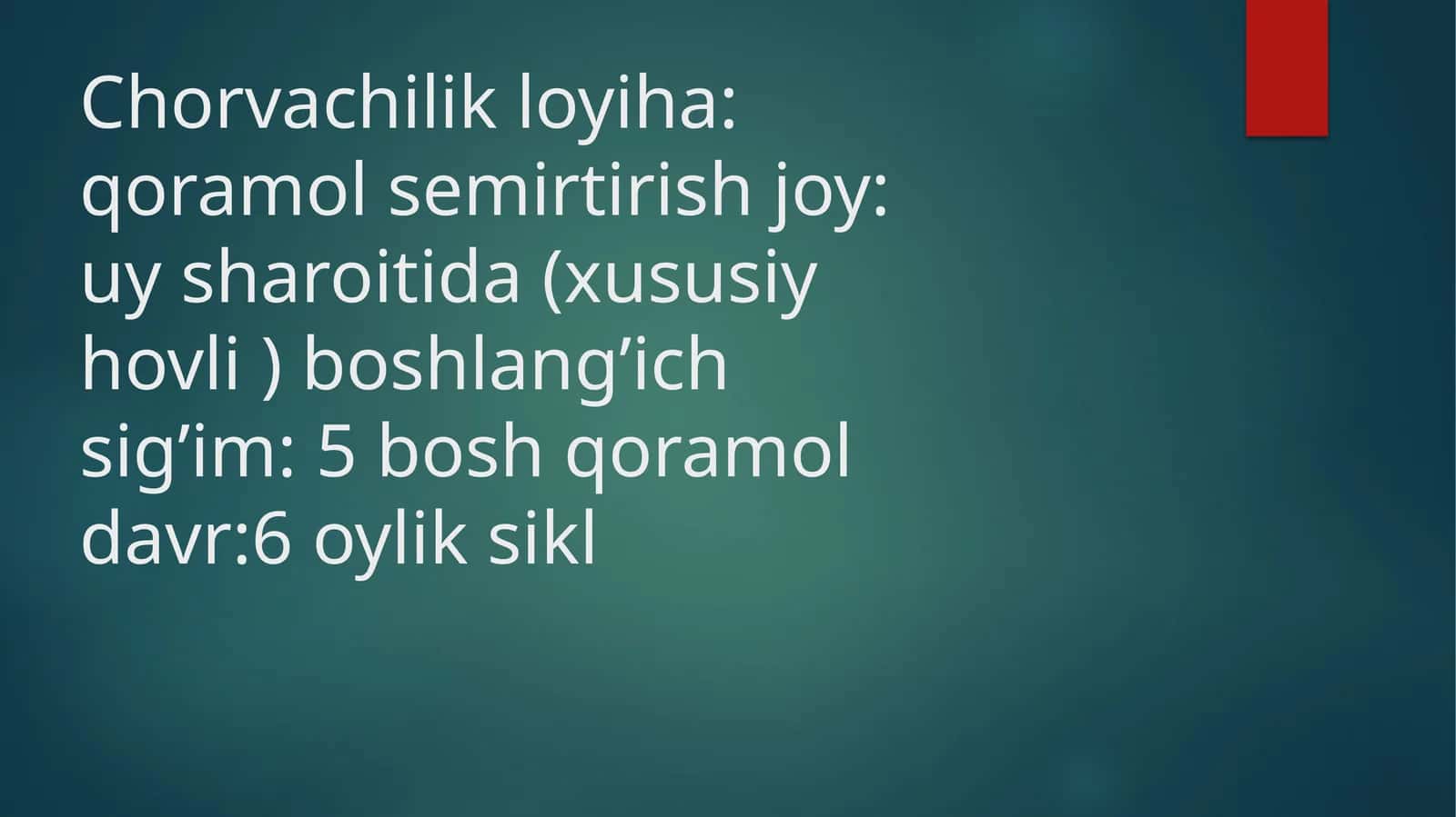 Chorvachilik loyiha 1