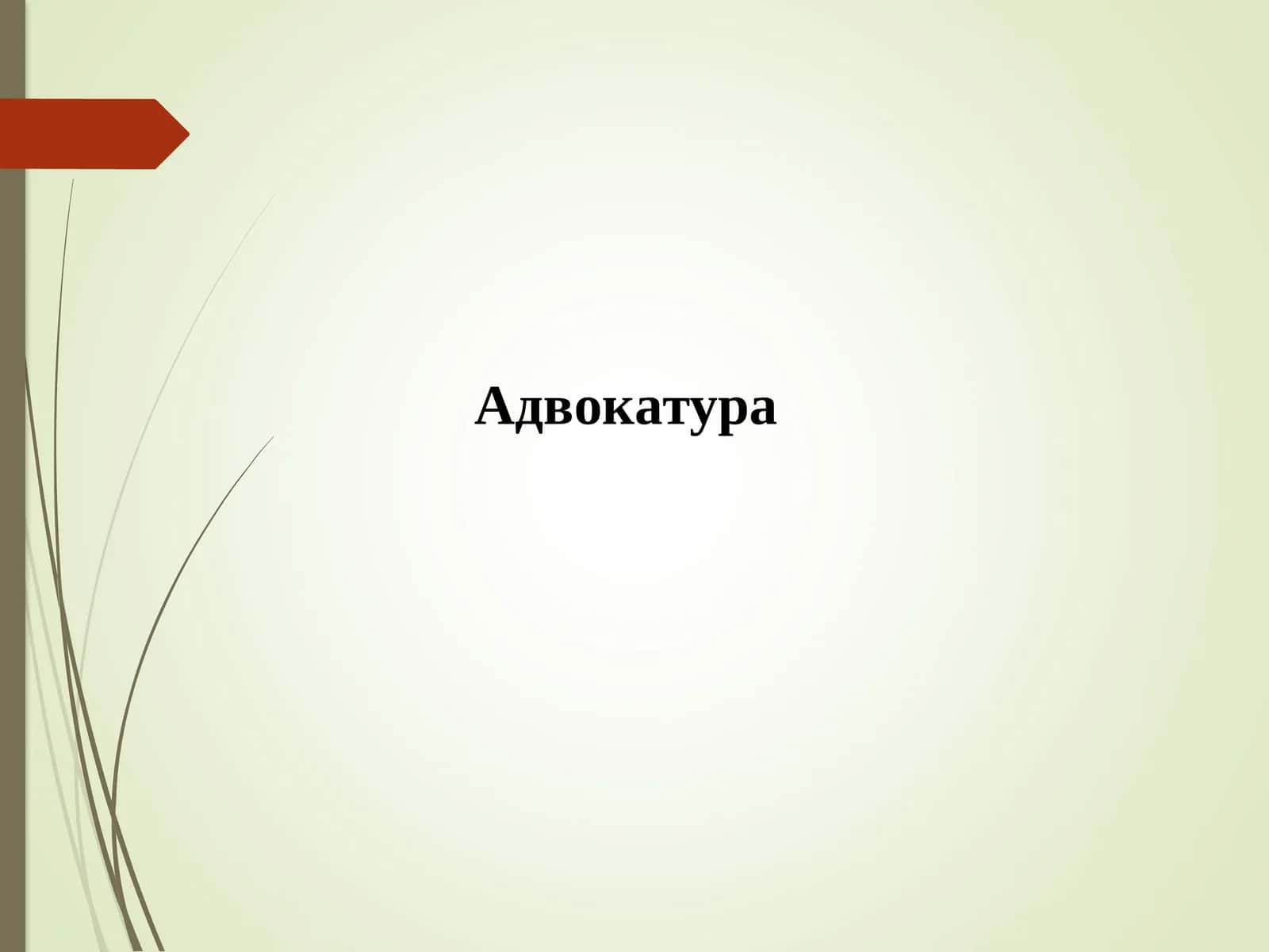 Адвокатура 1