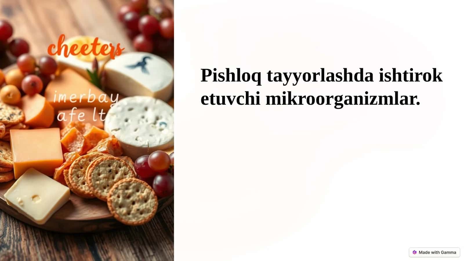 Pishloq tayyorlashda ishtirok etuvchi mikroorganizmlar 1
