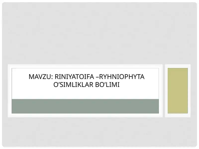 RINIYATOIFA –RYHNIOPHYTA O’SIMLIKLAR BO’LIMI 1