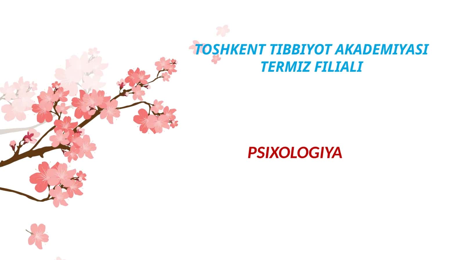 Tibbiyotda pedagogik bilimlarning oʻrni va ahamiyati. Tarbiya nazariyasi, usullari va turlari 1