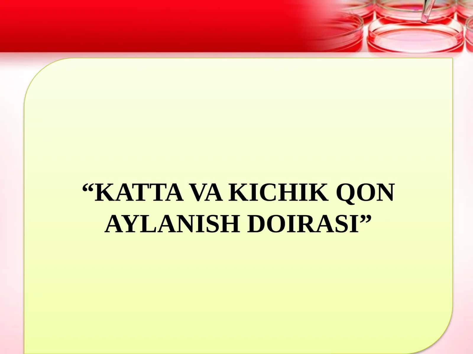 Yurak va qon to'mirlari 1