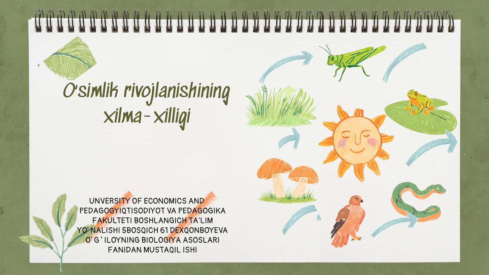 Oʻsimlik rivojlanishining xilma-xilligi 1