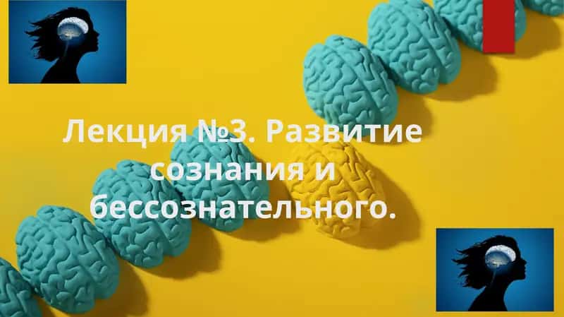 Развитие сознания и бессознательного 1