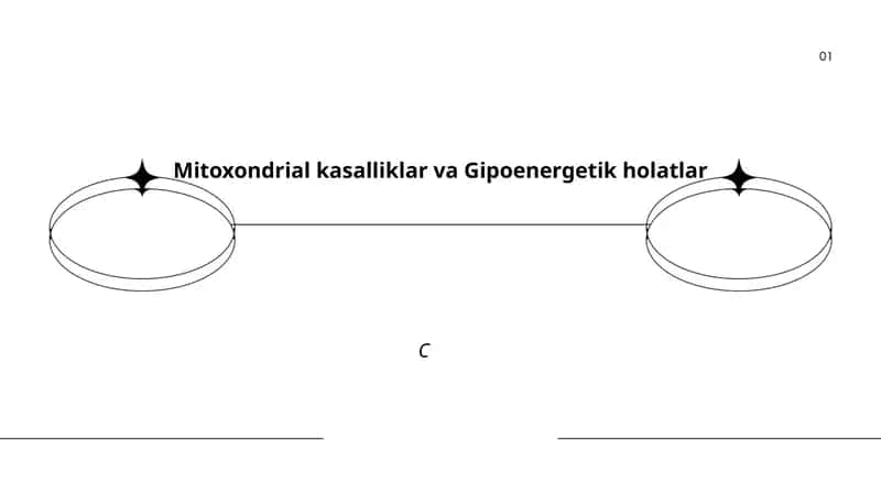 Mitoxondrial kasalliklar va Gipoenergetik holatlar 1