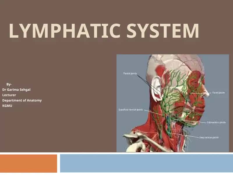 LYMPHATIC SYSTEM 1