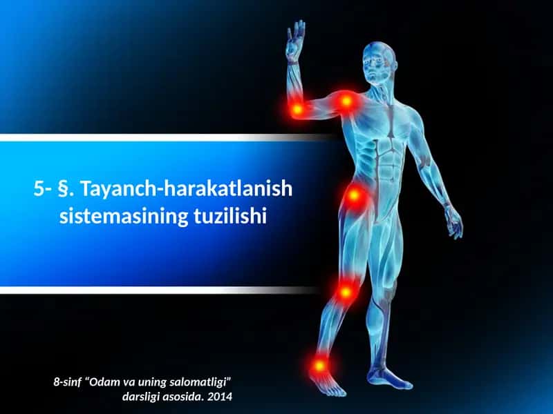 Tayanch-harakatlanish sistemasining tuzilishi 1