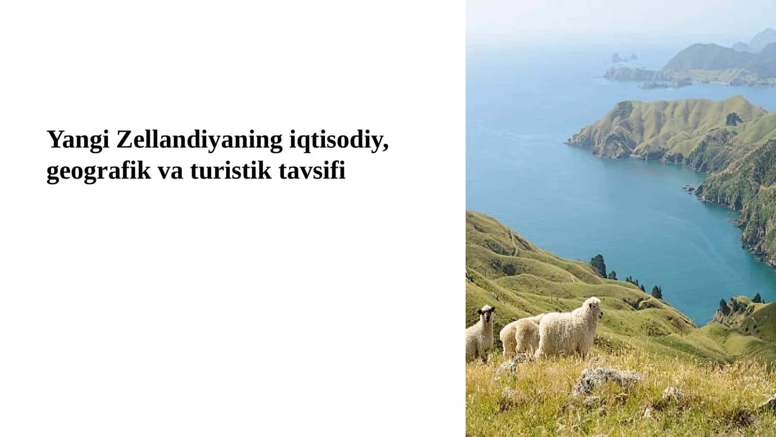 Yangi Zellandiyaning iqtisodiy, geografik va turistik tavsifi 1