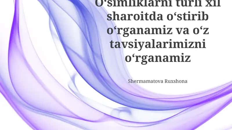 Oʻsimliklarni turli xil sharoitda oʻstirib oʻrganamiz va oʻz tavsiyalarimizni oʻrganamiz 1