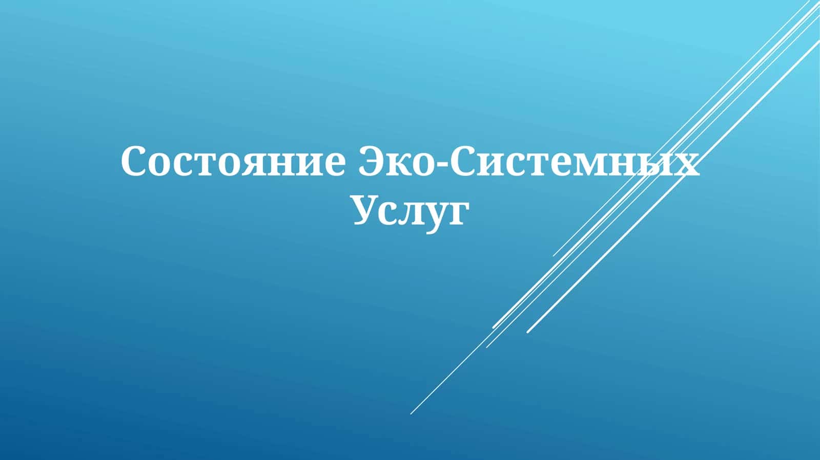 СостояниеЭко-СистемныхУслуг 1