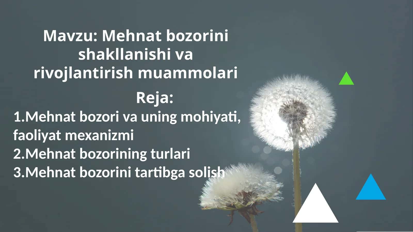 Mehnat bozorini shakllanishi va rivojlantirish muammolari. 1