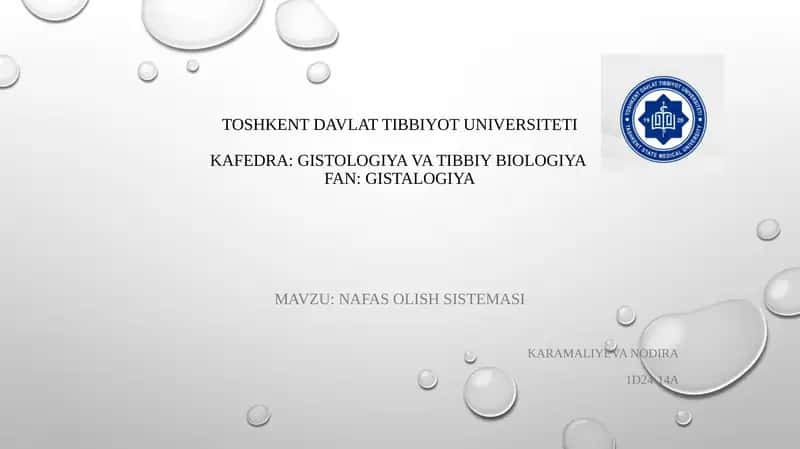 NAFAS OLISH SISTEMASI 1