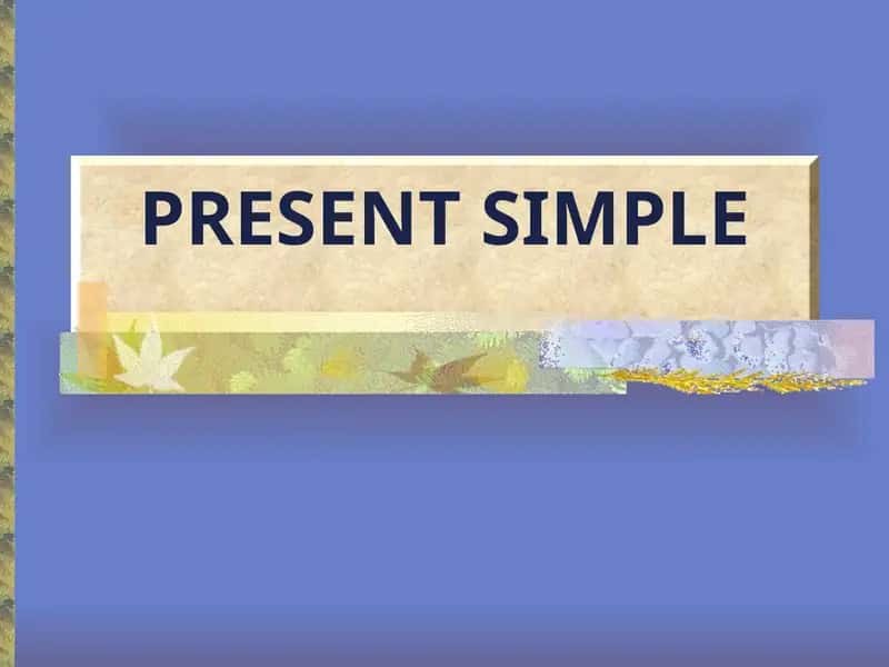 Present Simple 1