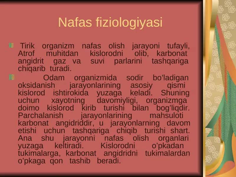 Nafas fiziologiyasi 1