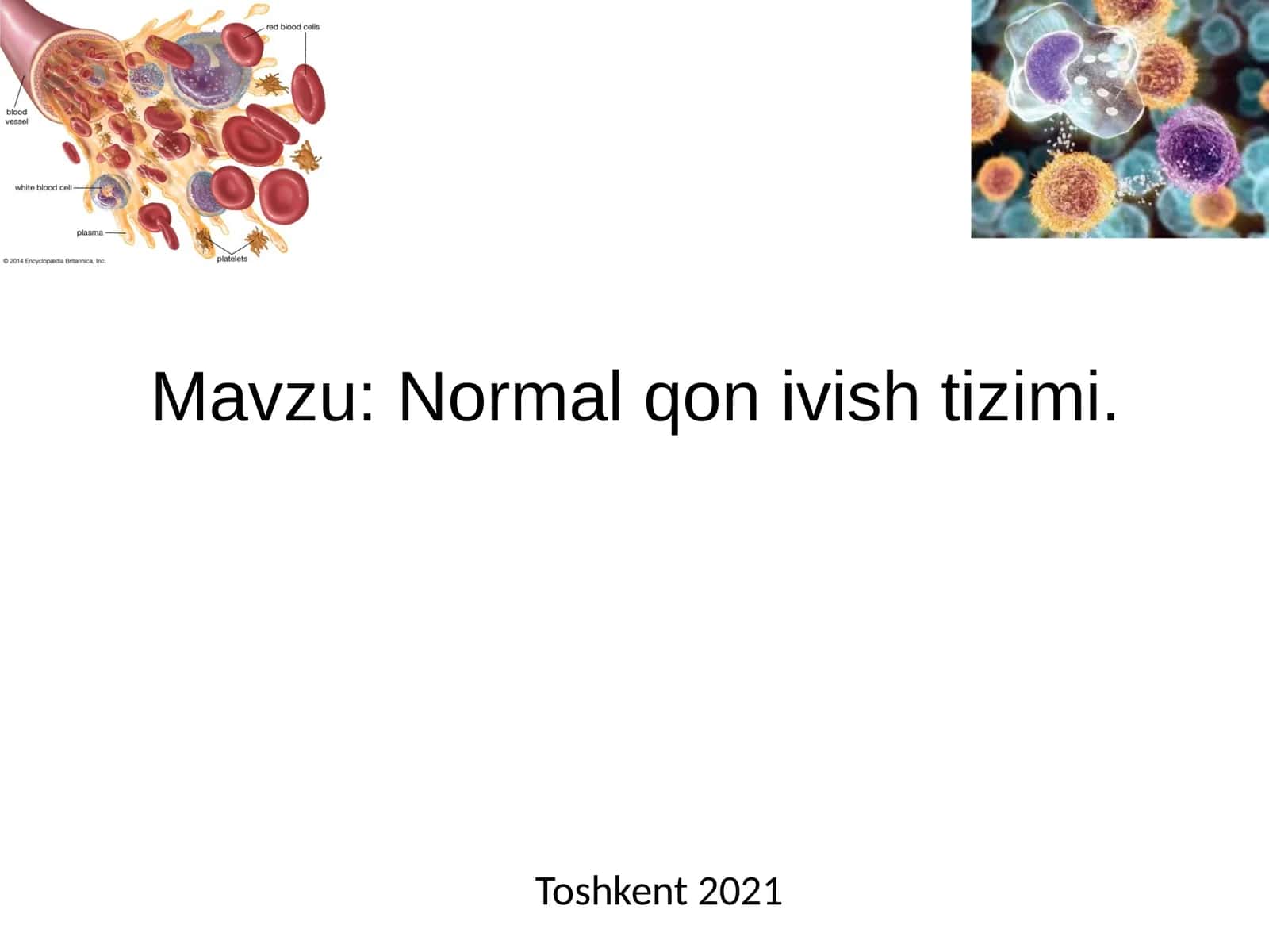Normal qon ivish tizimi 1