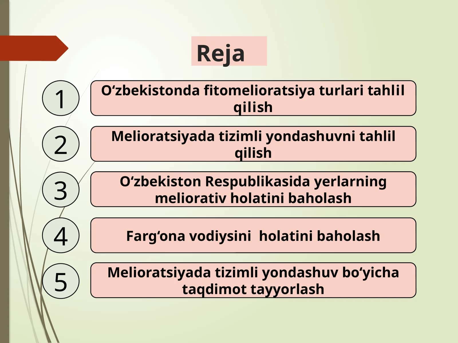 O‘zbekistonda fitomelioratsiya turlari tahlil qilish 1