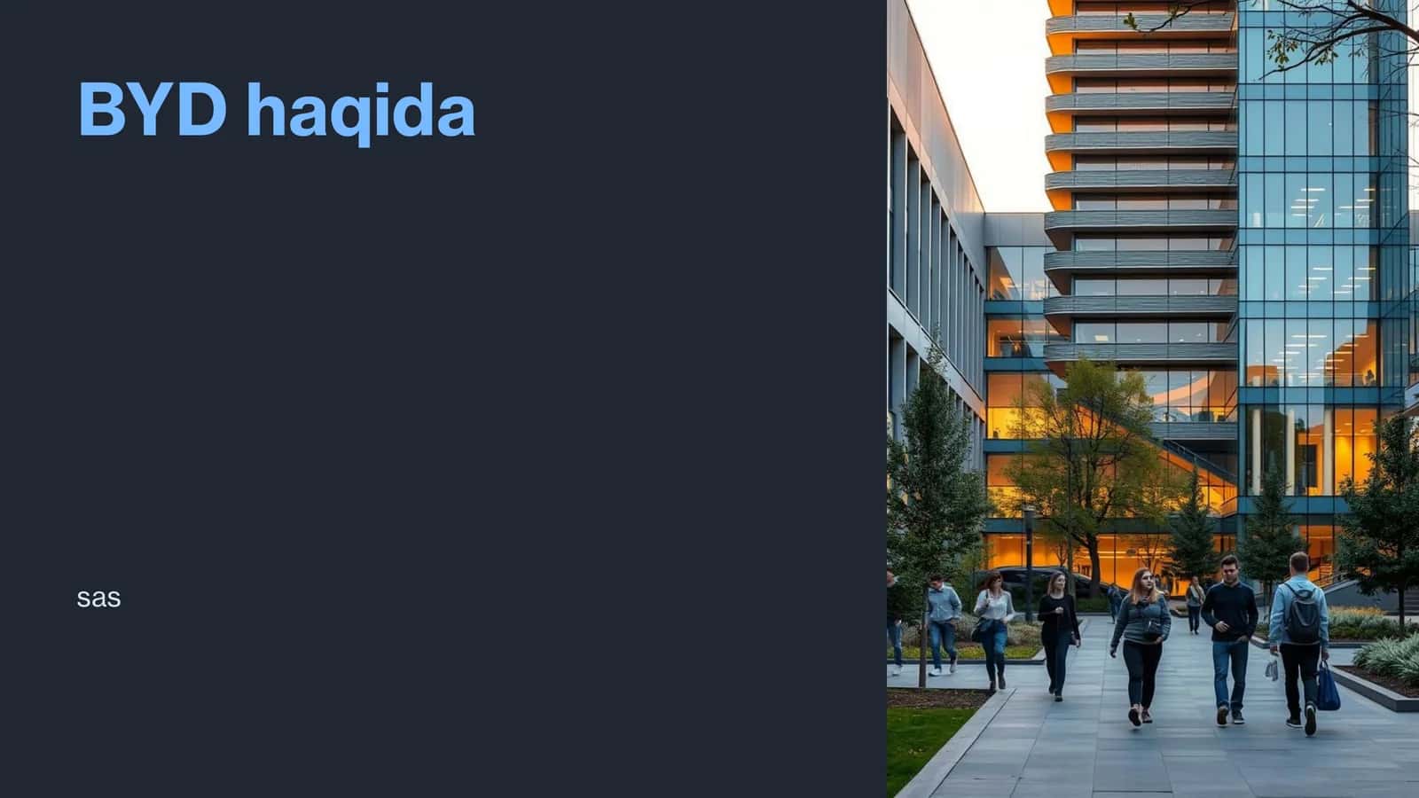 BYD haqida 1