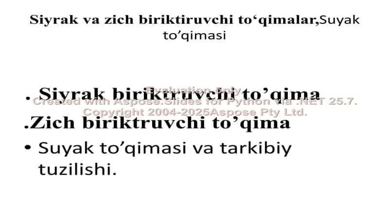 Siyrak va zich biriktiruvchi to‘qimalar, Suyak to’qimasi 1