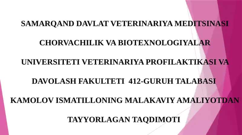 KAMOLOV ISMATILLONING MALAKAVIY AMALIYOTDAN TAYYORLAGAN TAQDIMOTI 1