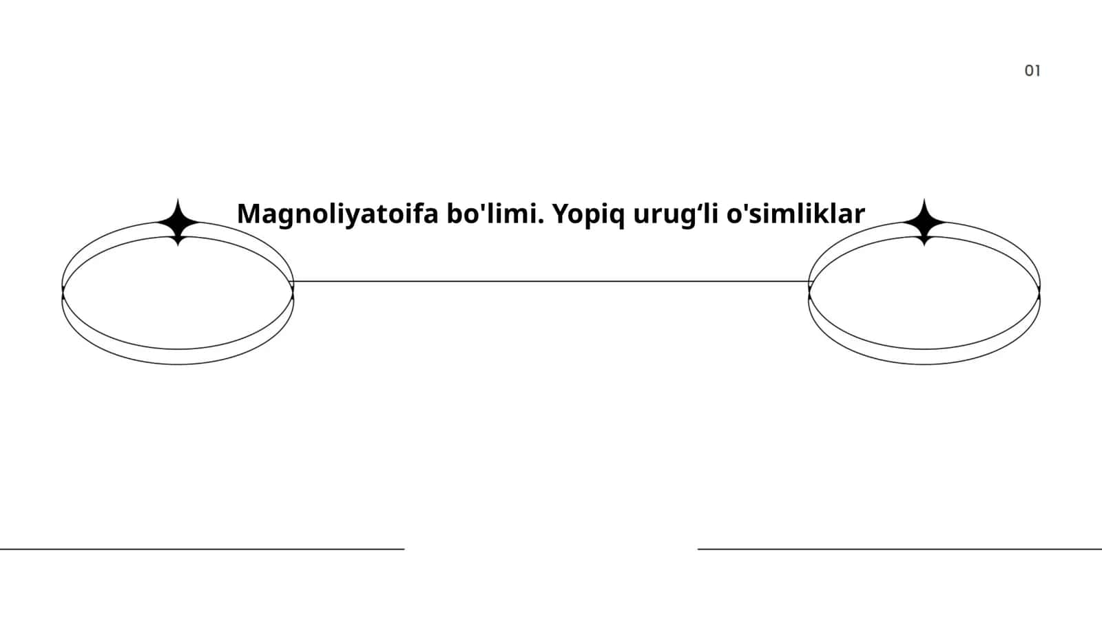 Magnoliyatoifa bo'limi. Yopiq urugʻli o'simliklar 1