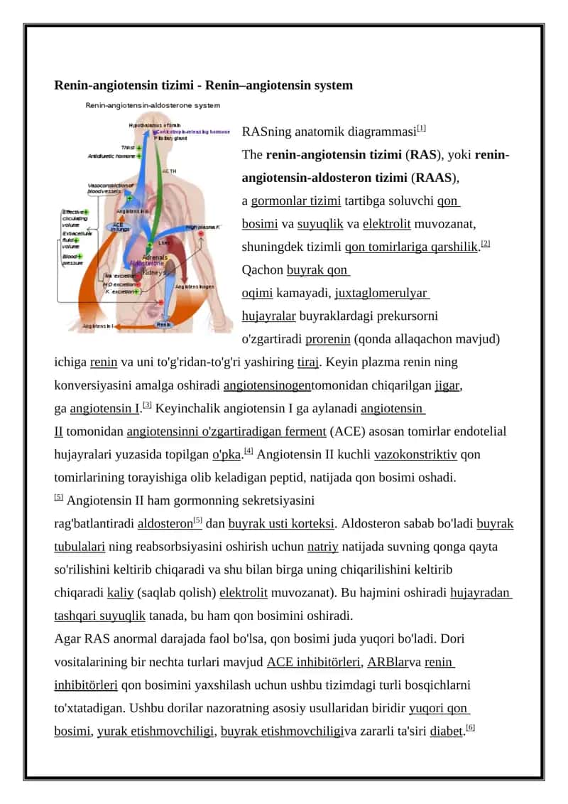 Renin-angiotensin tizimi 1